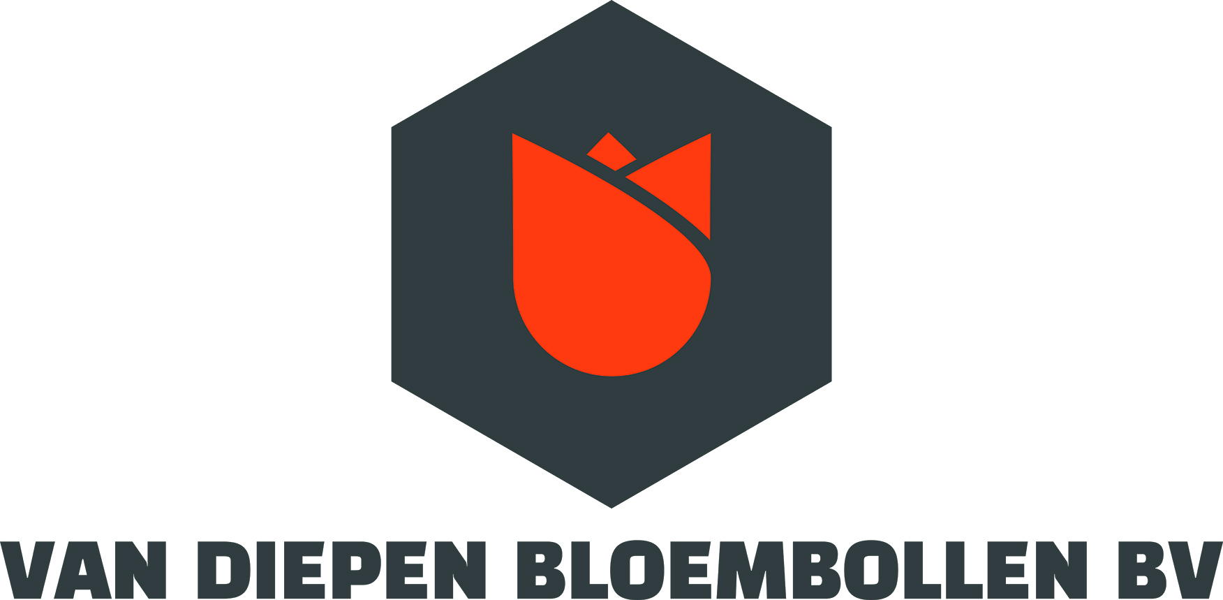 van diepen bloembollen